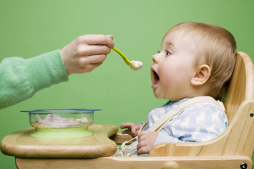 makanan bayi 6 bulan