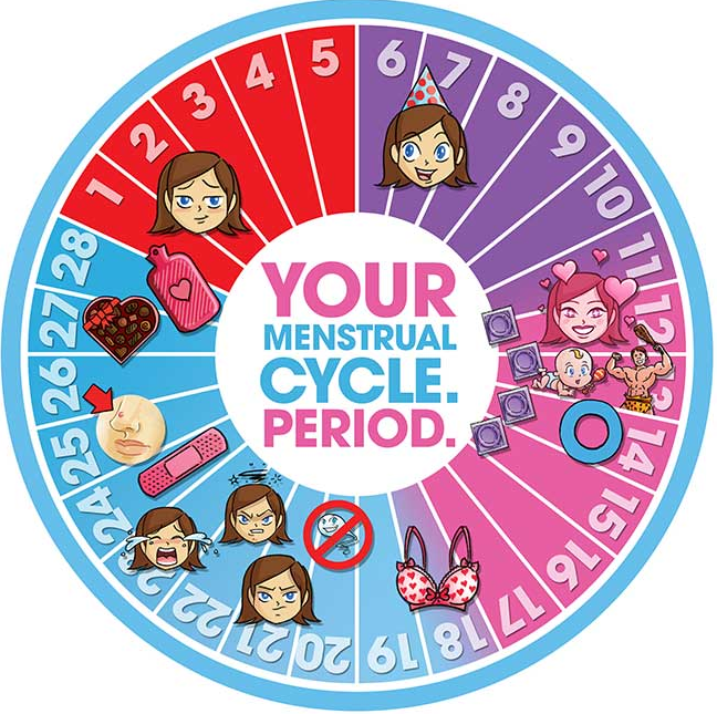 menstrual cycle 