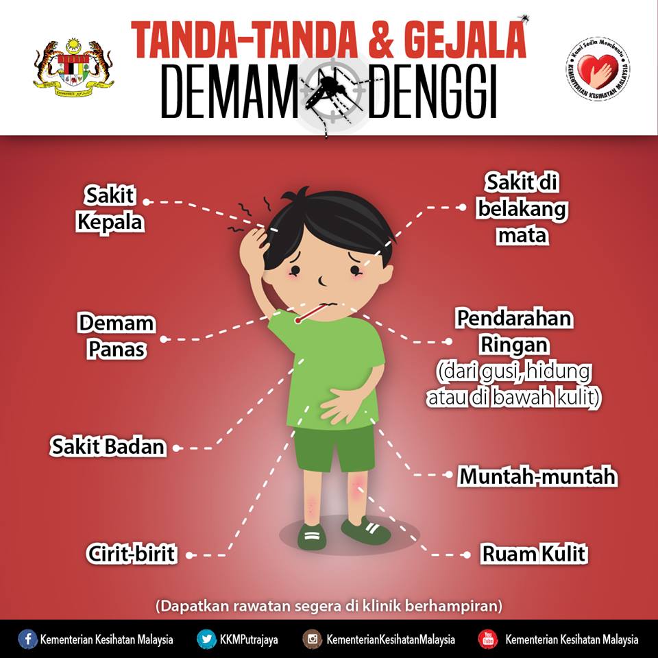 denggi