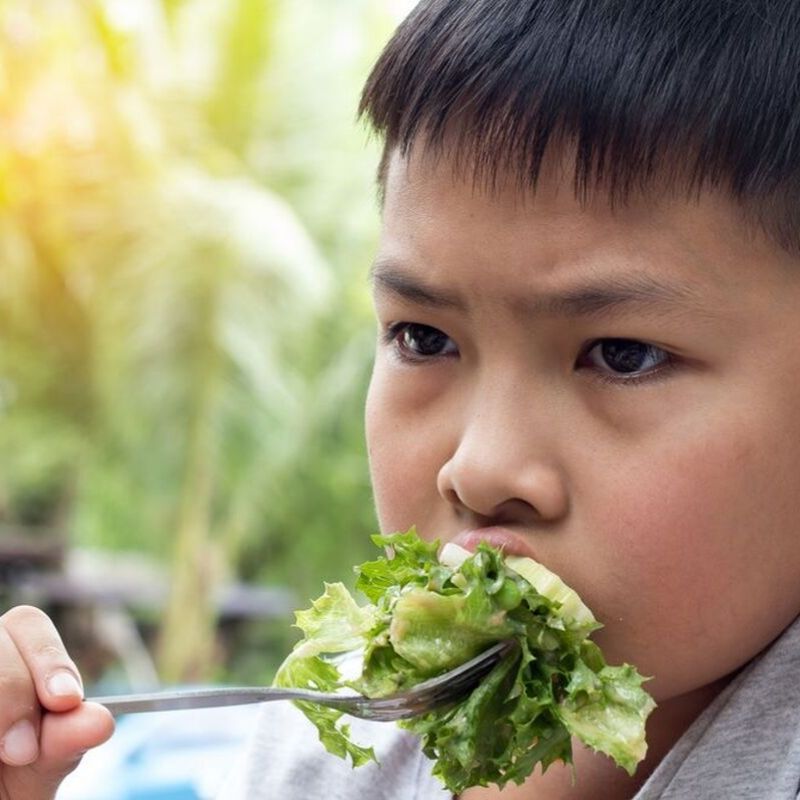 Boleh Ke Letak Garam Dan Gula Dalam Makanan Bayi?