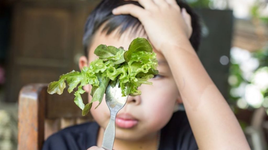 Anak mama 'picky eater'? Ini tips mama berdepan dengan anak cerewet