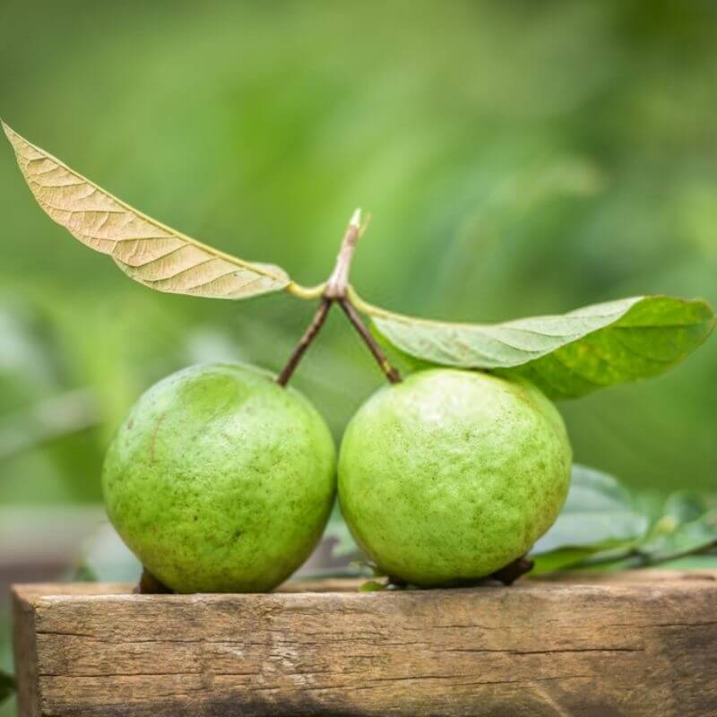 Amalkan Makanan Ini Ketika Hamil