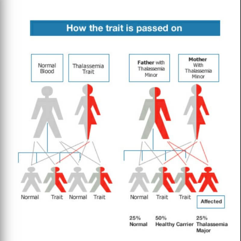 Apa Yang Ibu Bapa Harus Lakukan Sekirannya Anak Talasemia?
