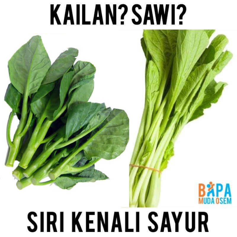 panduan beli sayur