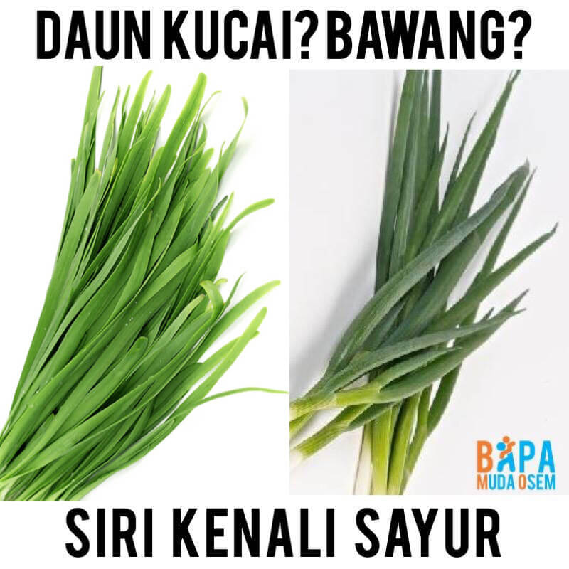 panduan beli sayur