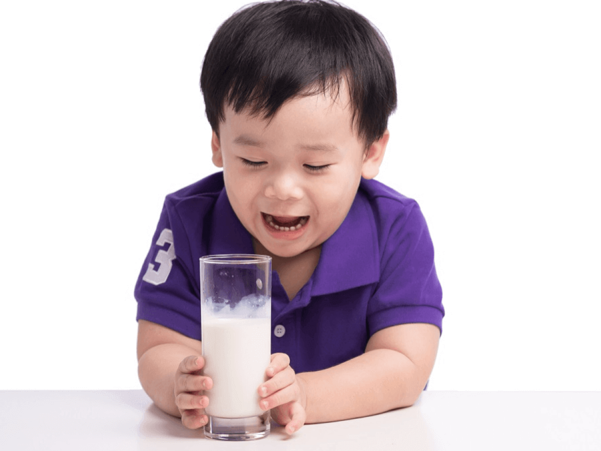 Kebaikan Susu Kambing Mengapa Anda Harus Menukar Susu Si Manja Kepada Susu Kambing November 2021 Kelabmama Malaysia