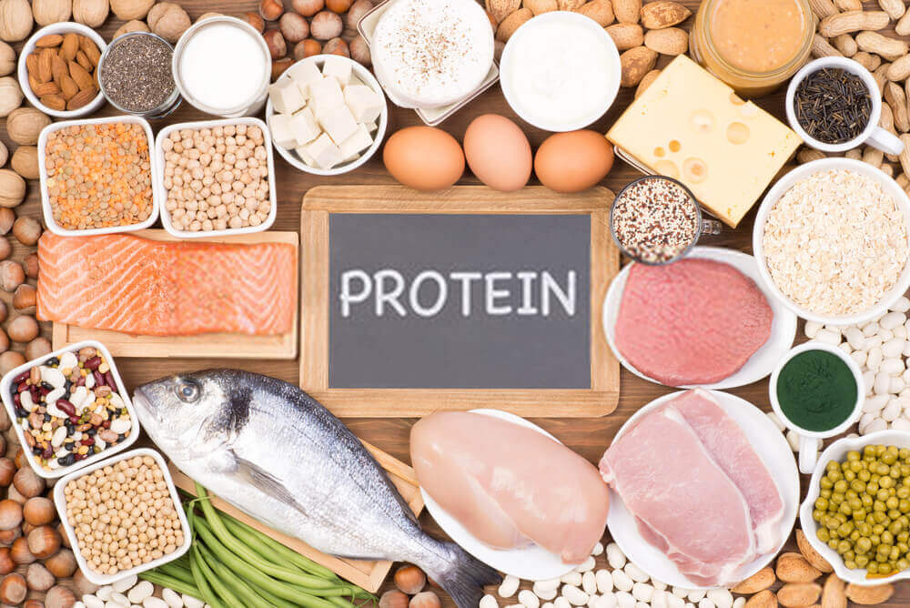 protein antara nutrisi terbaik untuk si manja