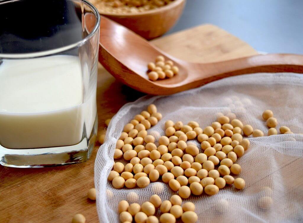 khasiat kacang dan susu soya 