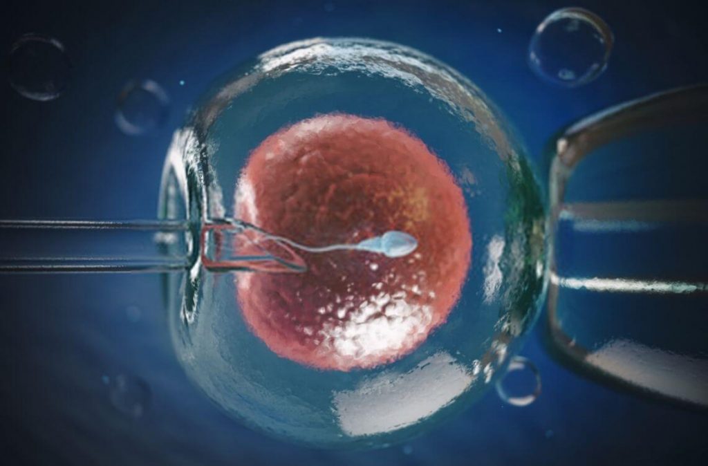 IVF mudah hamil kembar