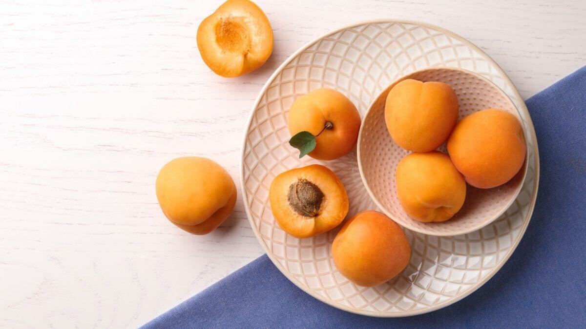 makanan untuk tambah susu badan