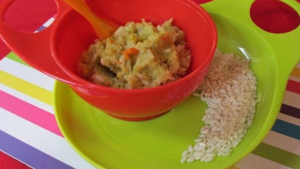 risotto ayam dan sayur makanan bayi 8 bulan