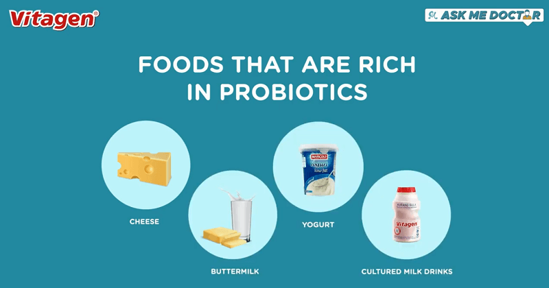 makanan yang kaya dengan probiotik untuk sistem imun kita