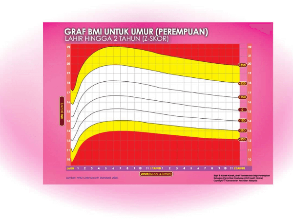 cara kira BMI bayi perempuan