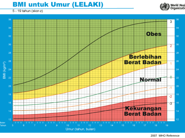 BMI Kanak Kanak Lelaki