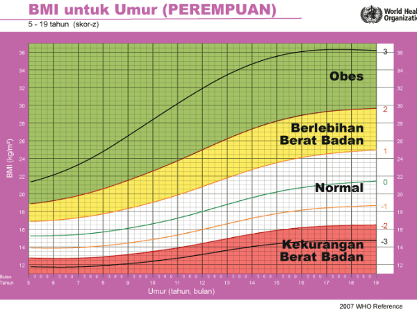 BMI kanak kanak perempuan