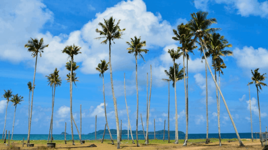 tempat menarik di Kemaman