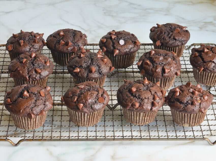 chocolate chips muffin