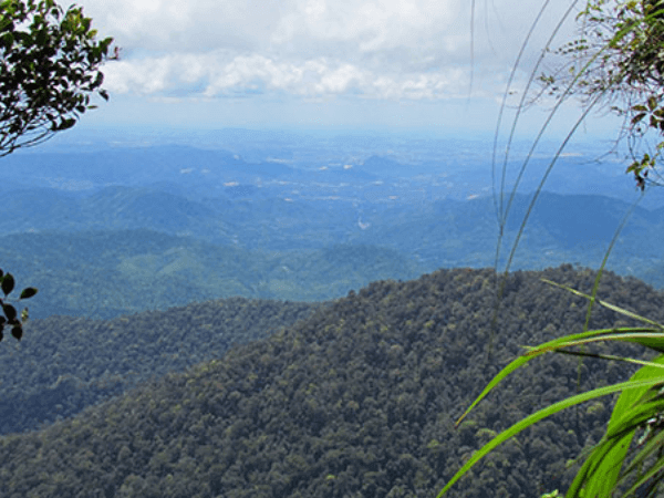 Hutan Rekreasi Gunung Nuang