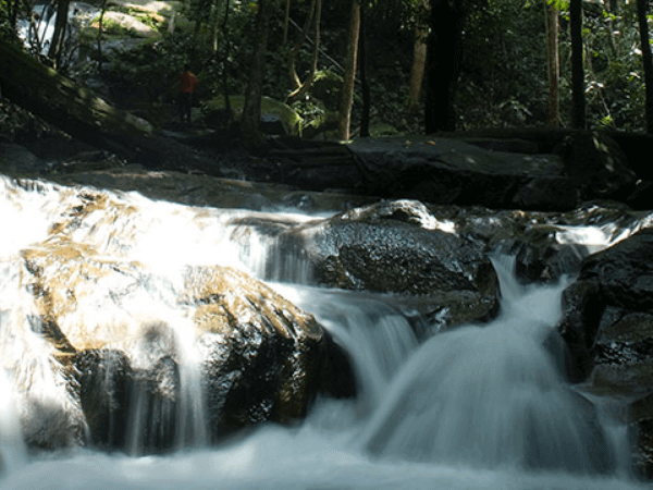 Hutan Rekreasi Sungai Tekala