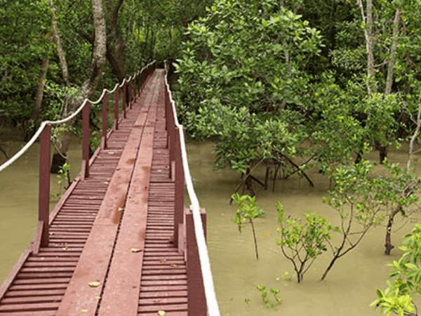 Kuala Selangor Nature Park