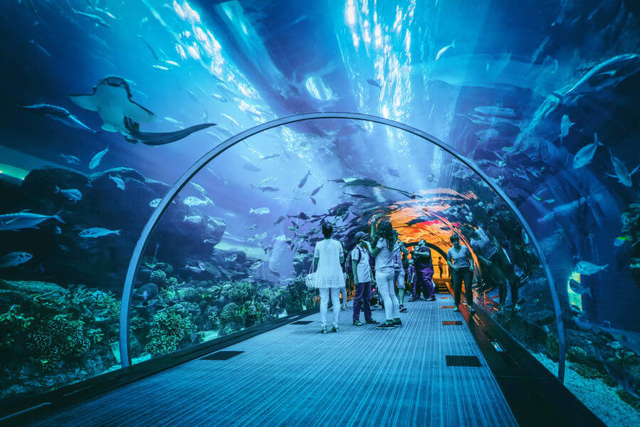 aquaria KLCC - tempat menarik Kuala Lumpur