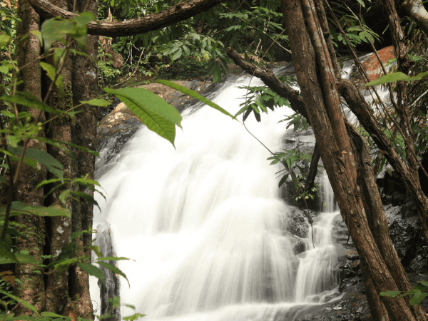 Bukit Rengit