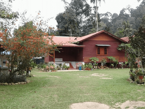 Homestay D’Lampin