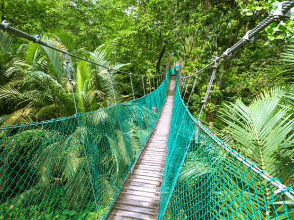 Air Hitam Dalam Educational Forest