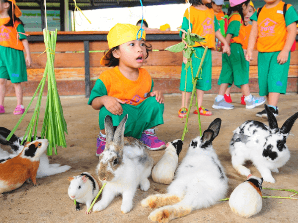 Borneo Happy Farm