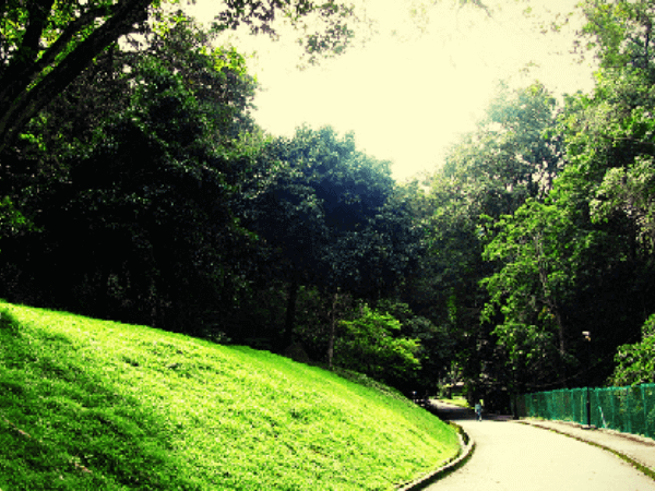 Bukit Mertajam Recreational Forest