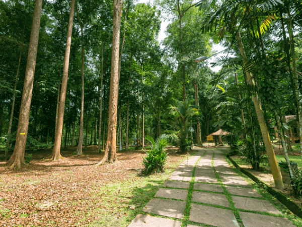 Bukit Panchor State Park