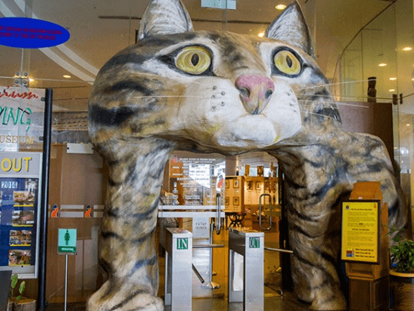 Cat Museum