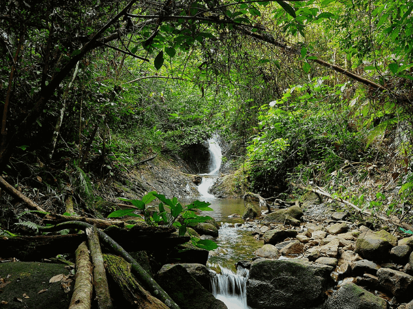 Tempat Menarik Di Kluang - Gunung Blumut