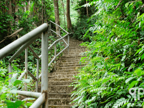 Hutan Lipur Sogo Perdana