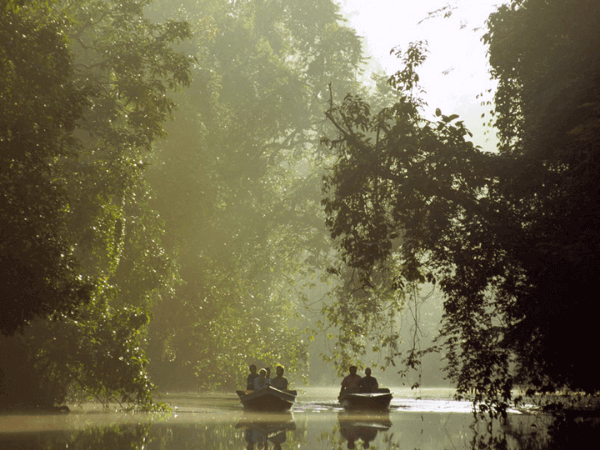 Kinabatangan Wildlife Sanctuary