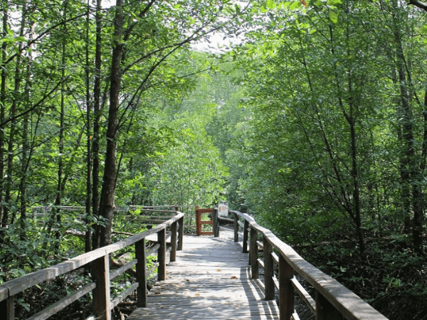 Kota Kinabalu Wetland Ramsar Site