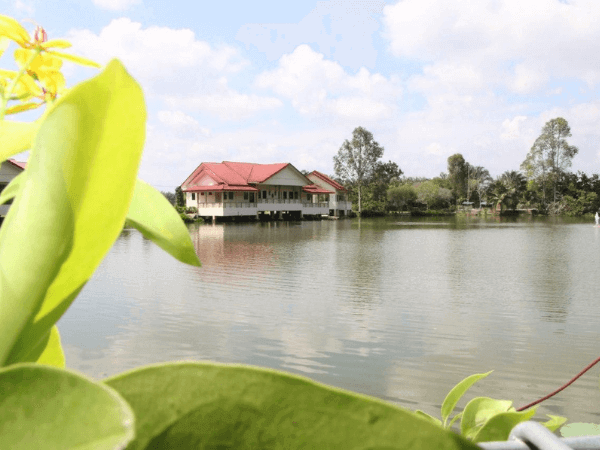 Ladang Moccis