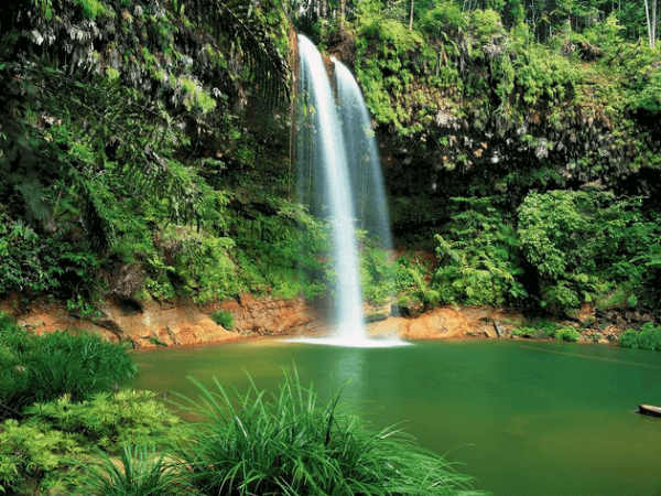 Lambir Hills National Park