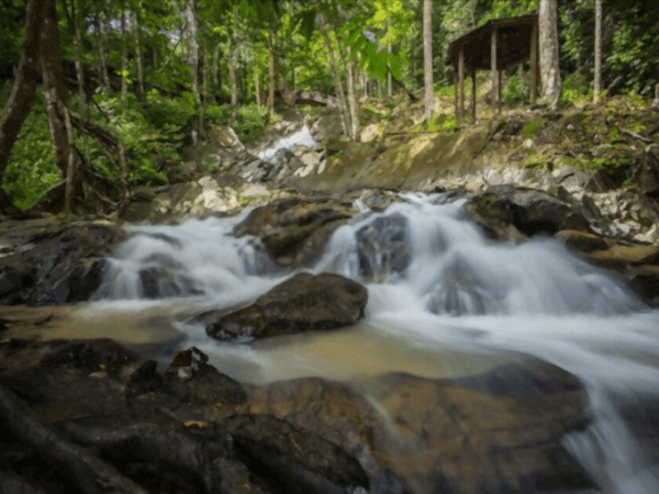 Lenggeng Recreational Forest