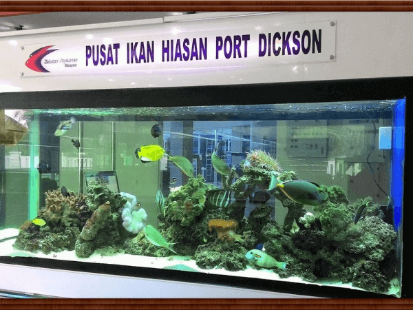 Pusat Ikan Hiasan Port Dickson