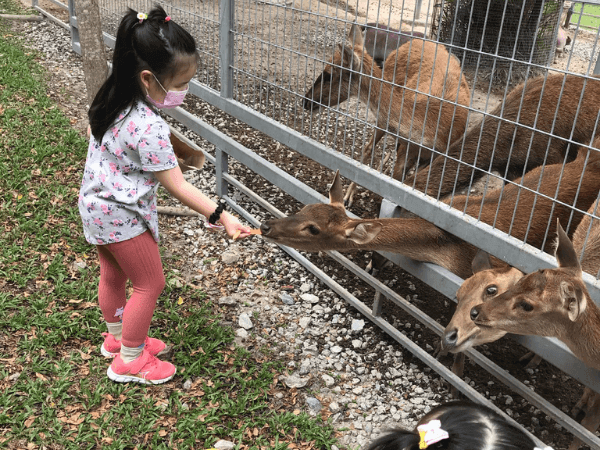 Rabbit Fun Land, Lenggeng