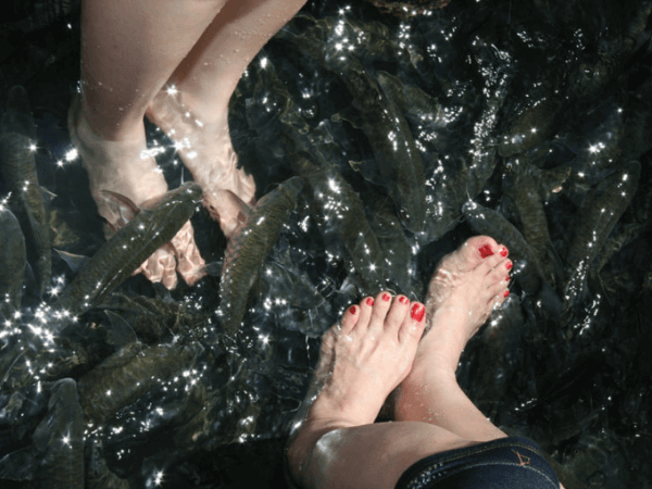 tempat menarik di Kundasang - Moroli Fish Spa