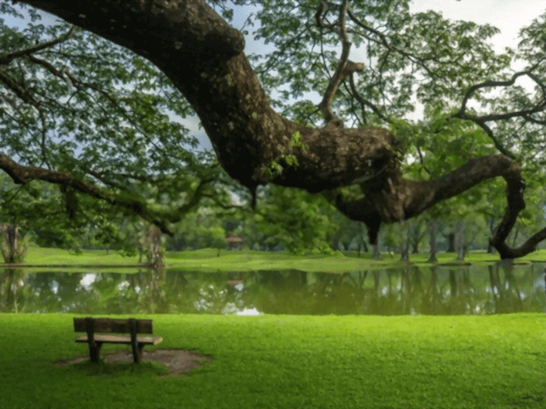 Taiping Lake Gardens