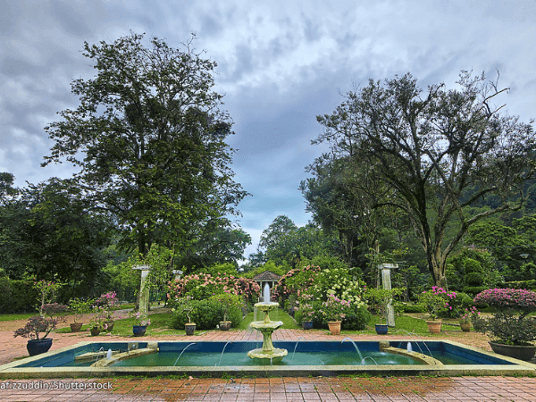 Taman Botani Pulau Pinang