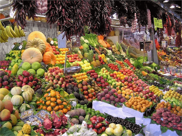 Tropical Fruit Farm