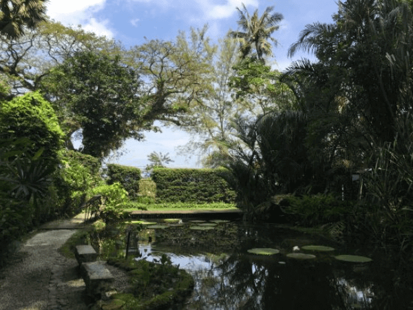 Tropical Spice Garden