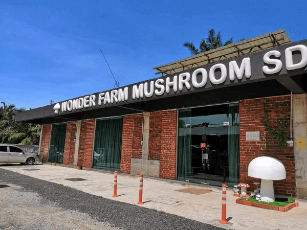 Wonder Farm Mushroom