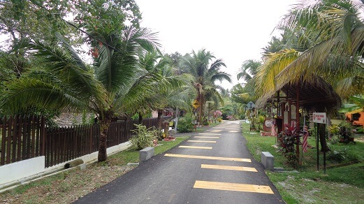 tempat menarik Port Dickson - Kampung Orang Asli Bukit Kepong