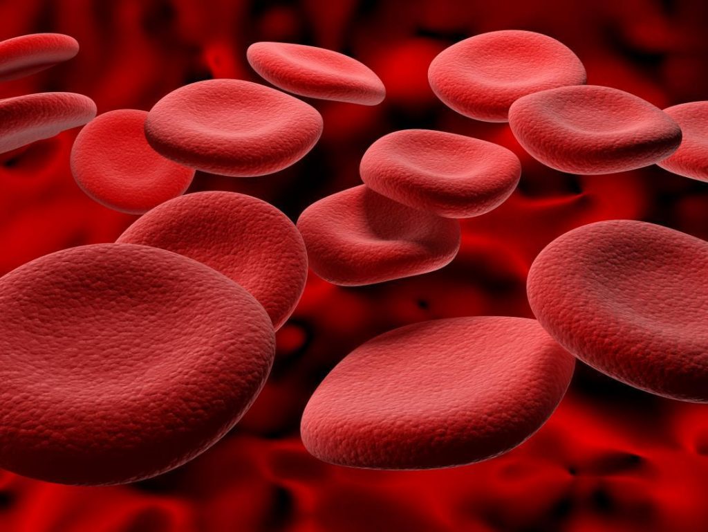kunyah ais pada sel darah merah 