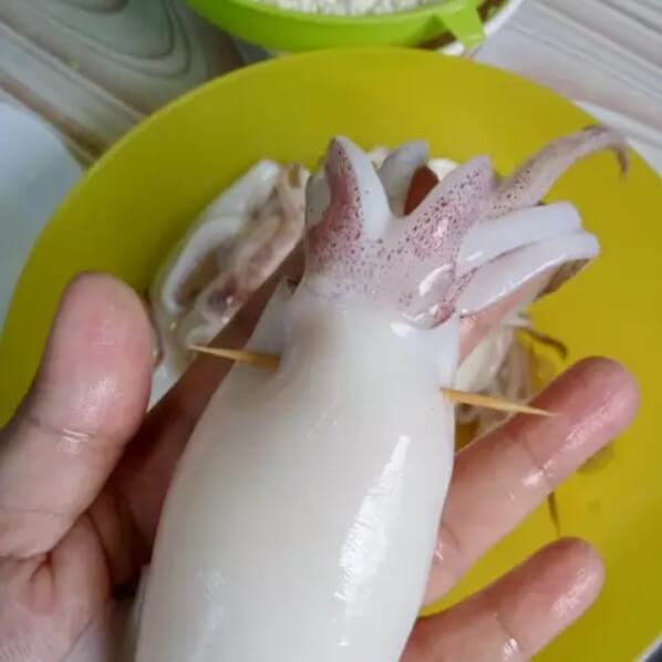 ketupat sotong